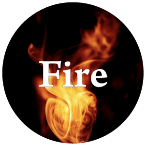 Graphic showing circle of The Five Element of Life Acupuncture: Fire
